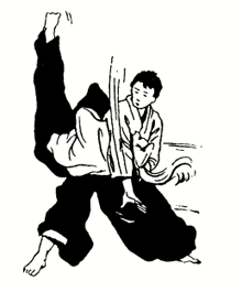 Irimi nage