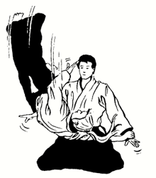 Sumi otoshi